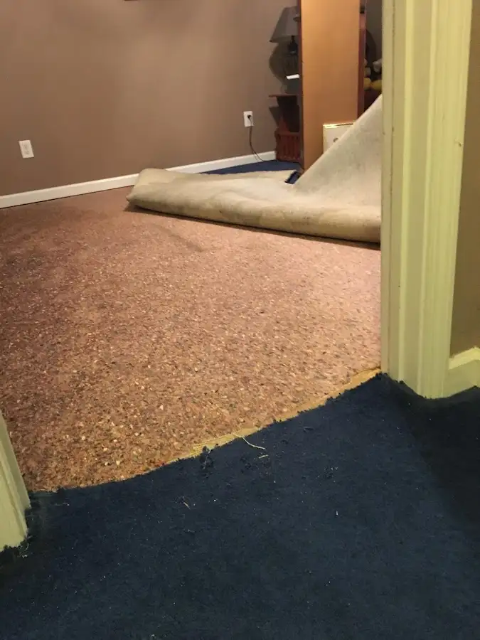 Carpet pad removal revealing water damage during Drying & Dehumidification in Oak Grove
